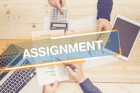 Assignment Help
